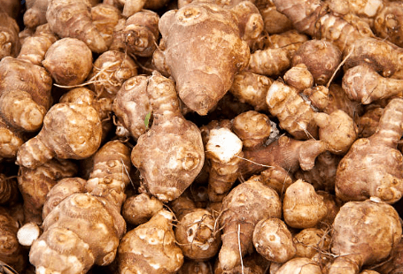 당뇨에 좋은 돼지감자 효능 정리