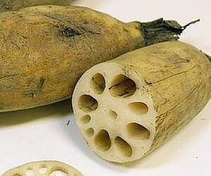 연근은 위에 좋은 음식입니다.