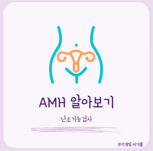 난소기능검사-알아보기
