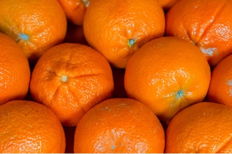 11월 제철 과일 귤 효능 보관방법