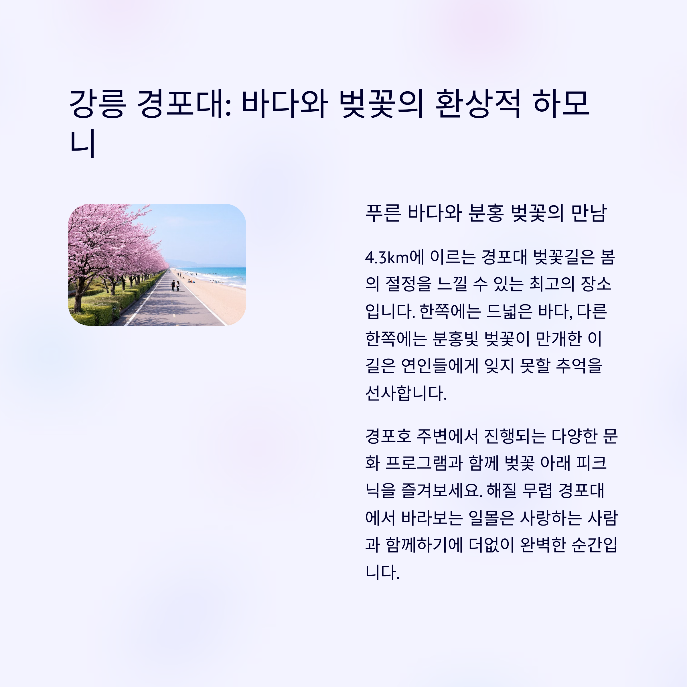 연인들을 위한 로맨틱한 봄꽃 여행 코스