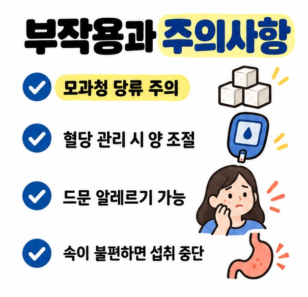 모과청의 높은 당류, 혈당 관리, 드문 알레르기, 개인별 위장 불편을 모과차 주의사항으로 정리한 카드