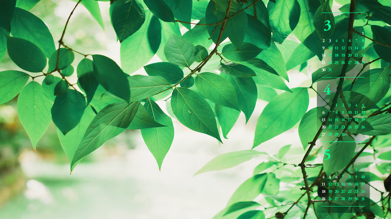 07 초록 나뭇잎 B - 2025년4월 노트북배경화면