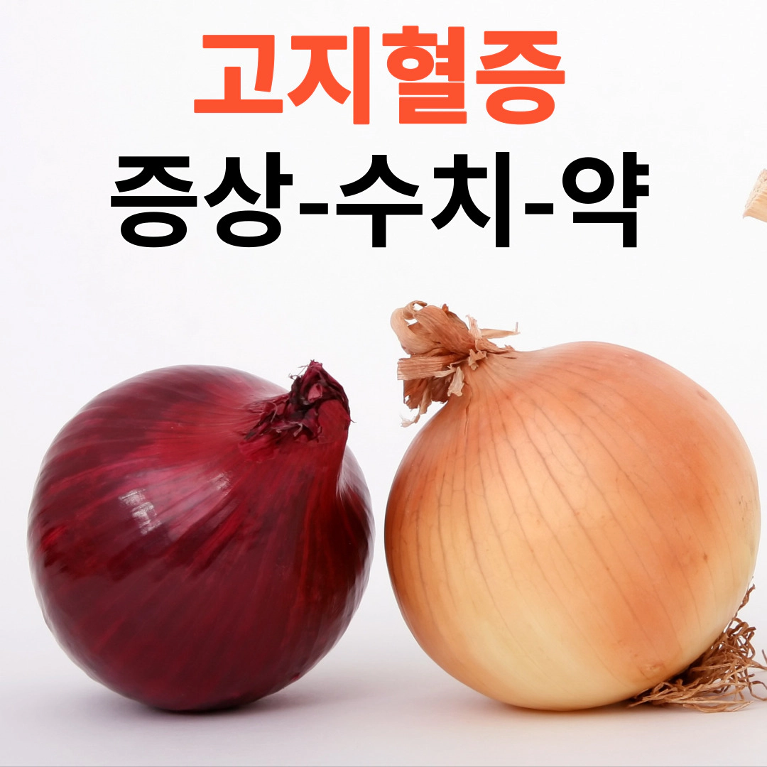 [고지혈증] 증상-수치-약-식이요법