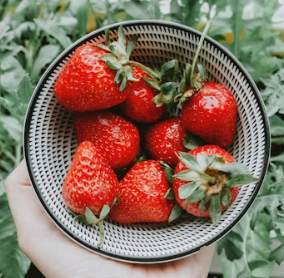 딸기 효능 부작용 칼로리 고르는법