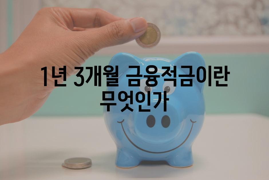 1년 3개월 금융적금이란 무엇인가
