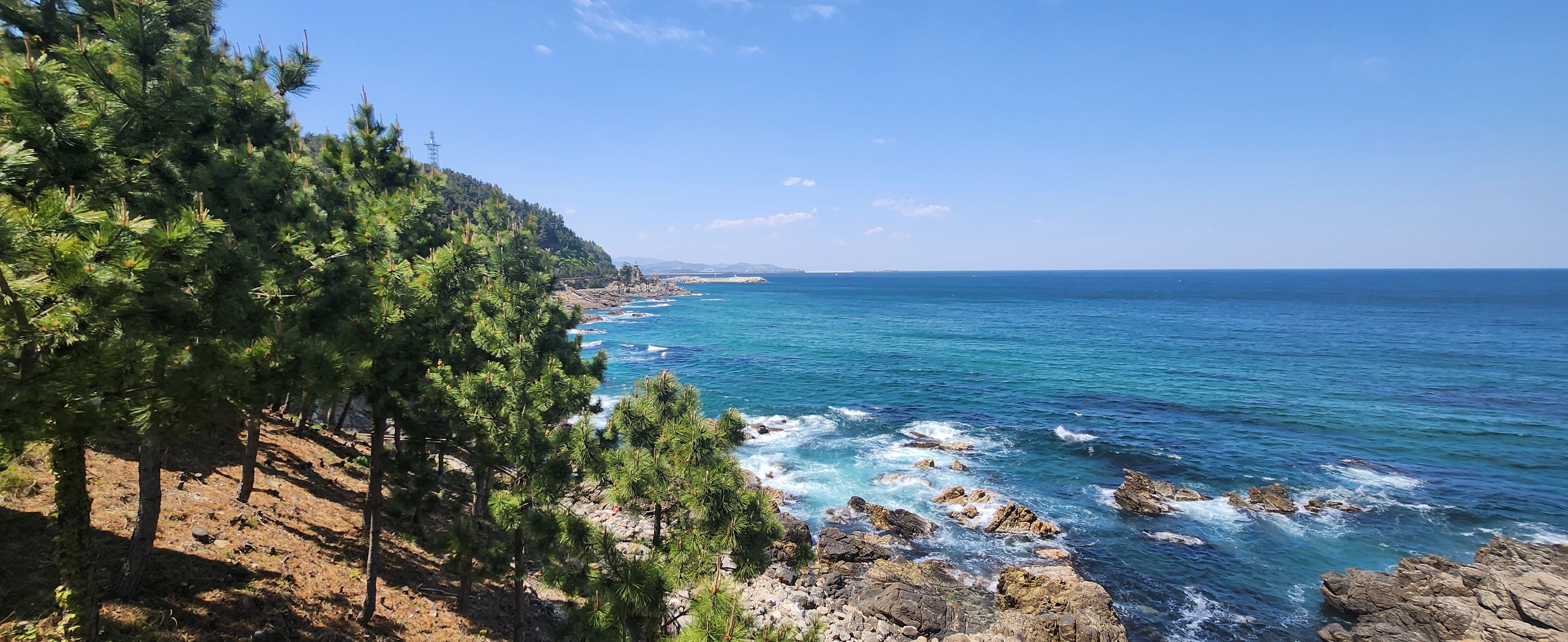 삼척 수로부인헌화공원 절벽 위 산책로와 동해 바다 전망