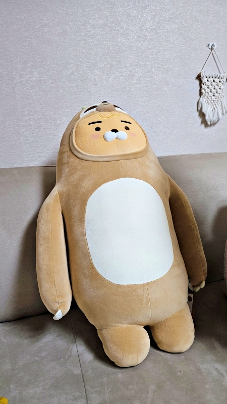 나무늘보 리틀라이언