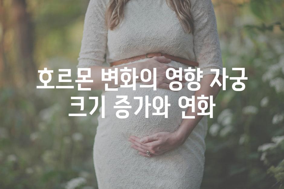 호르몬 변화의 영향 자궁 크기 증가와 연화