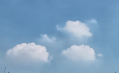 Alt 속성 문제 해결 설명 이미지