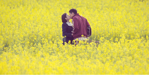 폭삭속았수다 애순이 관식이 유채밭 첫키스