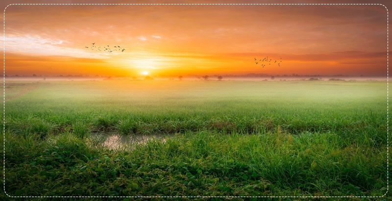 석양이 비추는 논밭 이미지