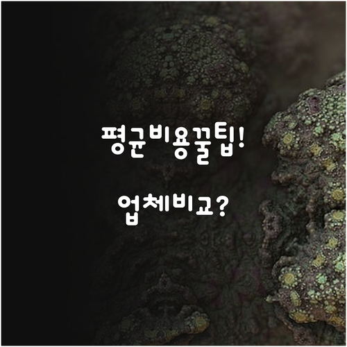 곰팡이 제거 업체 비교 평균 비용과 ..