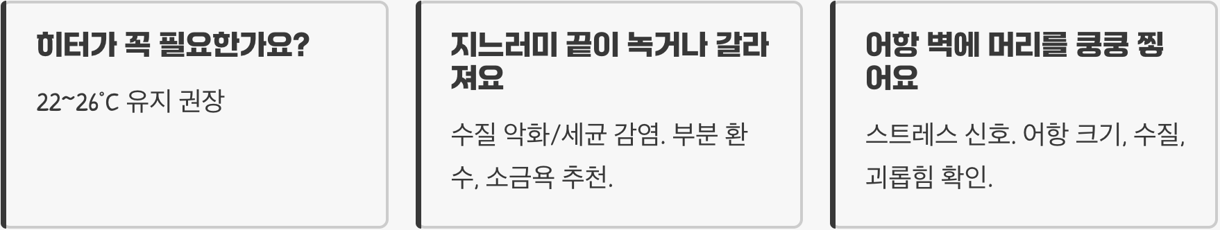 버터플라이 코이 키우기 A to Z (어항, 먹이, 수질 관리)