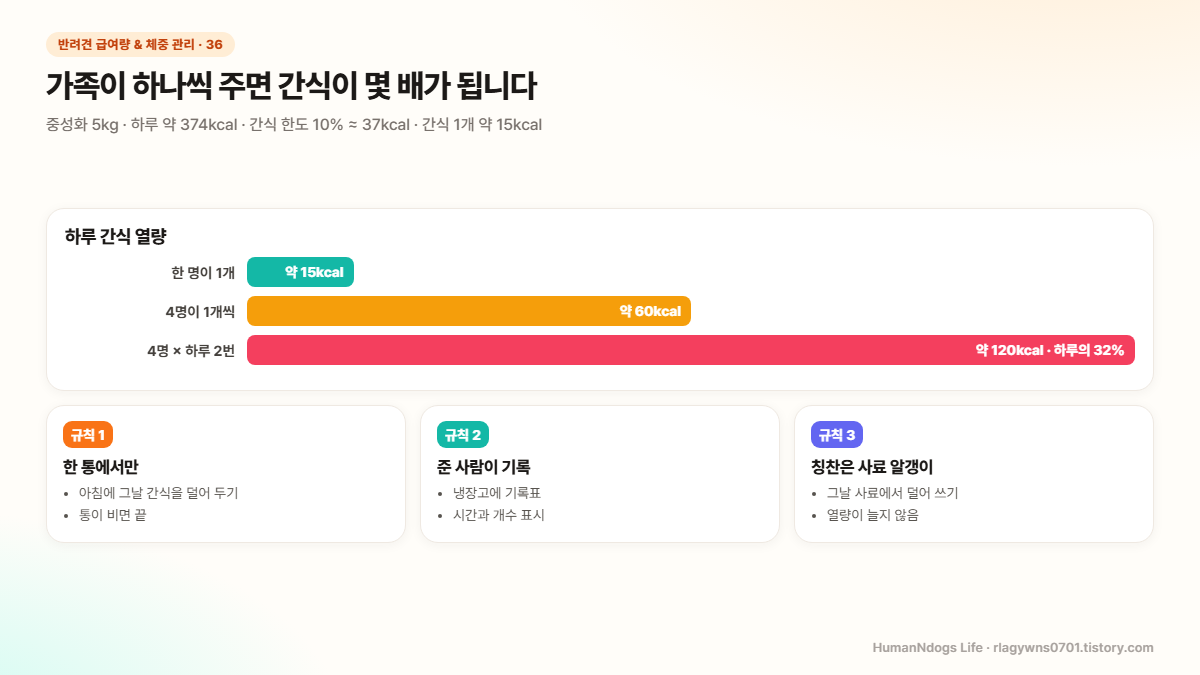 가족이 하나씩 주면 간식이 몇 배가 됩니다 도식 &mdash; 중성화 5kg &middot; 하루 약 374kcal &middot; 간식 한도 10% &asymp; 37kcal &middot; 간식 1개 약 15kcal