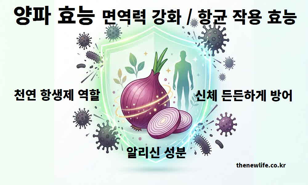 양파 효능 면역력 강화 항균 작용