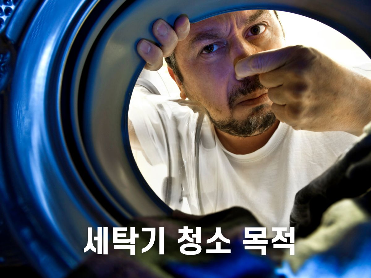 세탁기 청소하는 이유