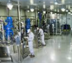 2025년 하반기 SK바이오텍 채용 : 채용인원