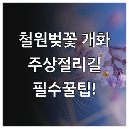 철원 벚꽃 개화 일정 고석정 주상절리..