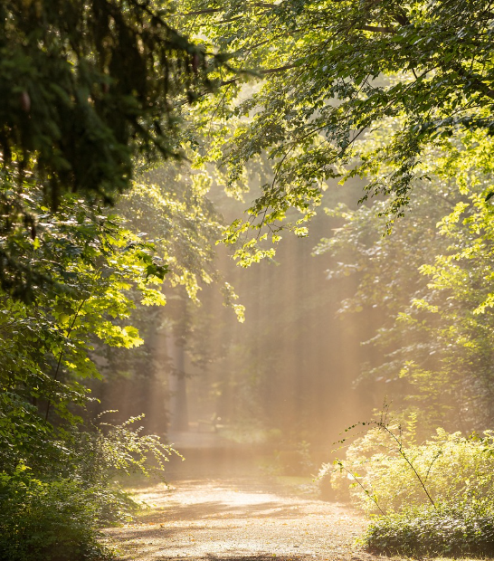 국내 조용한 여행지, 직접 가본 리얼 후기 (체험, 사진, 팁)