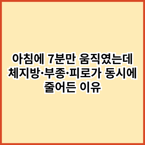 아침에 7분만 움직였는데… 체지방·부종·피로가 동시에 줄어든 이유