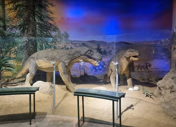 태백고생대자연사박물관