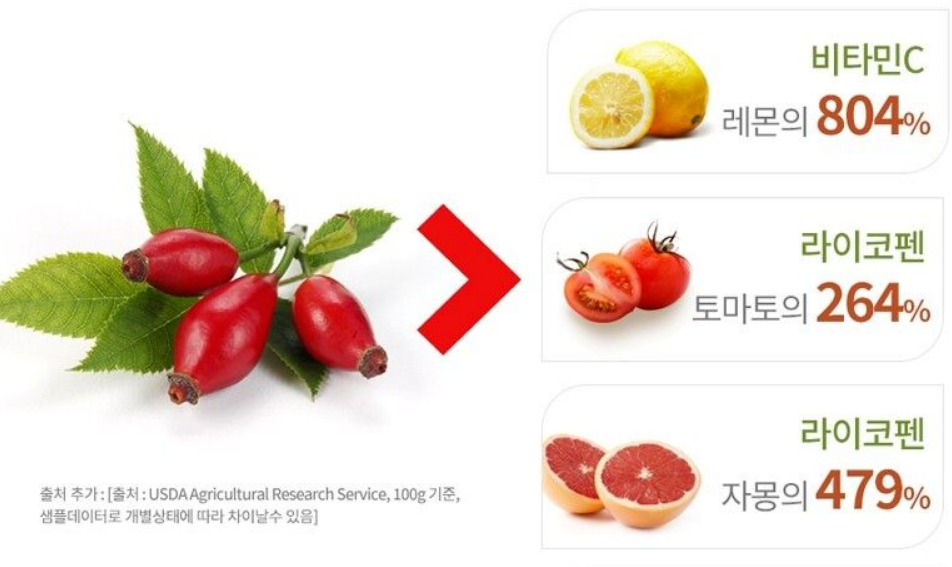 로즈힙