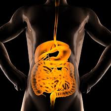 맹장의 위치과 증상