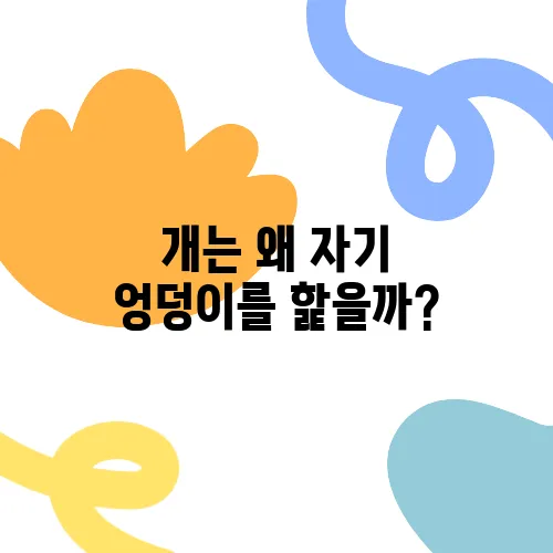 개는 왜 자기 엉덩이를 핥을까?