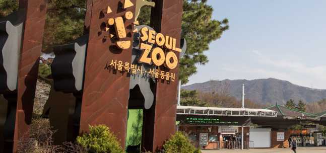 서울대공원 캠핑장 예약