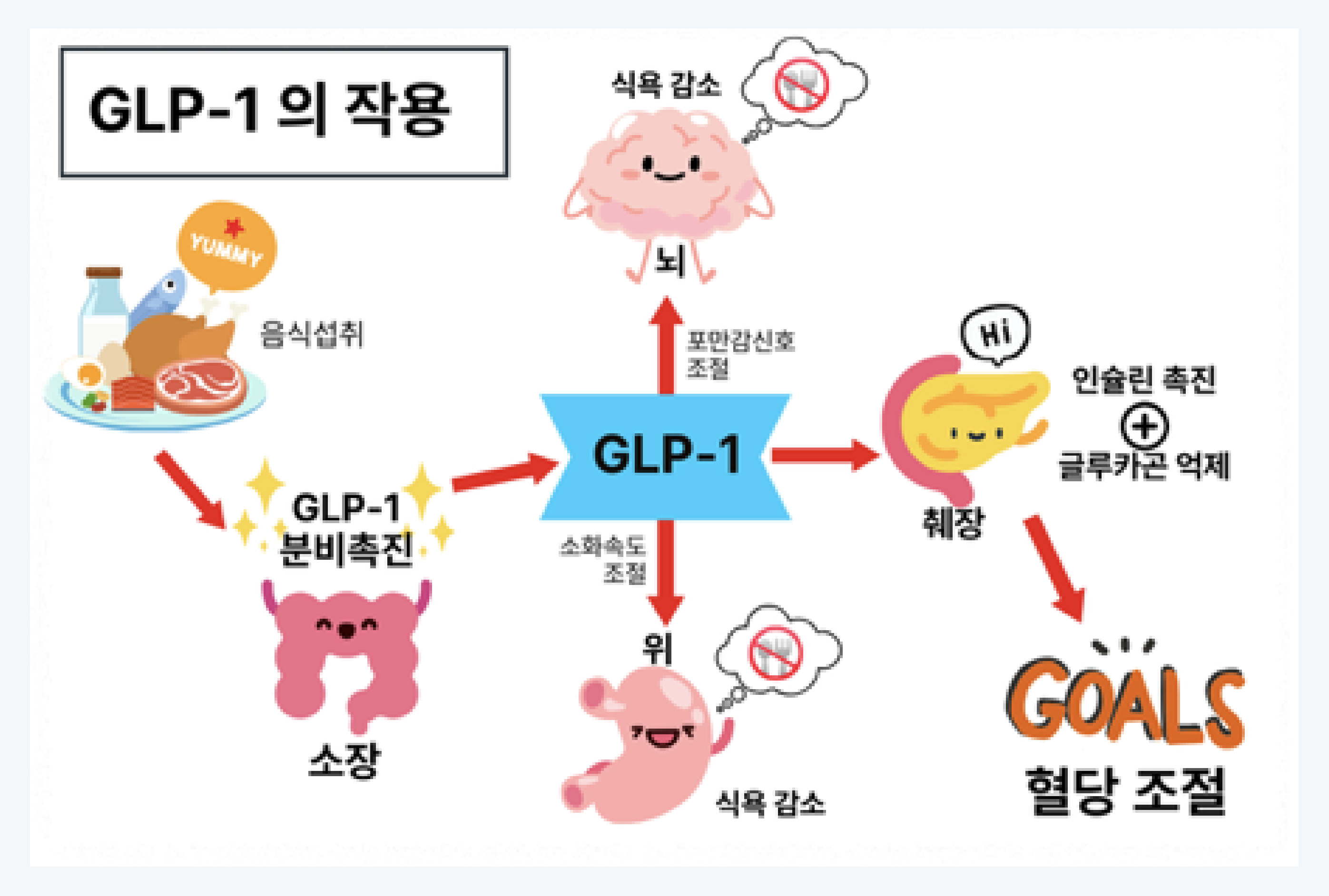 위고비, 다이어트