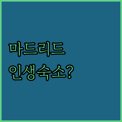 스페인 마드리드 숙소 추천 공항 근처..