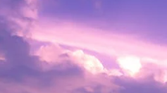 고객번호 조회방법