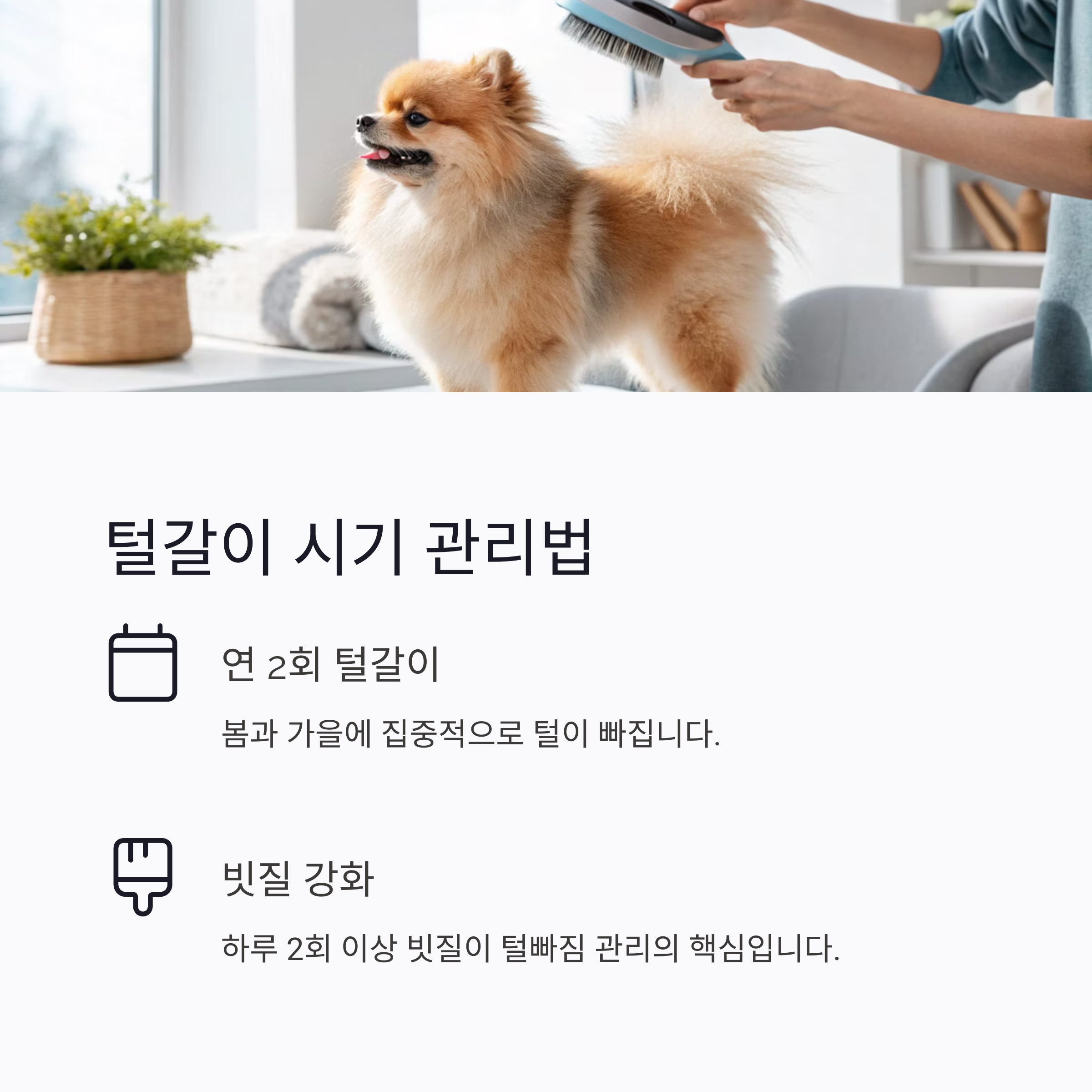 털갈이 시기 관리법