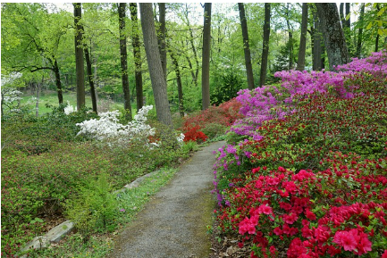 산림복지서비스이용권