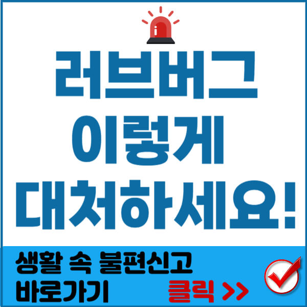러브버그