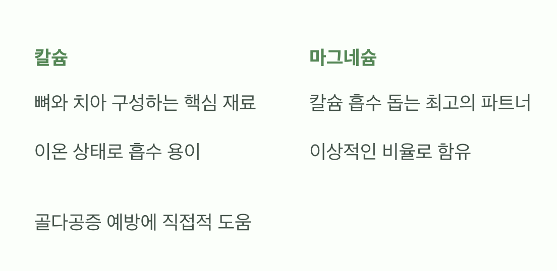 천연 미네랄의 보고, '칼슘'과 '마그네슘'