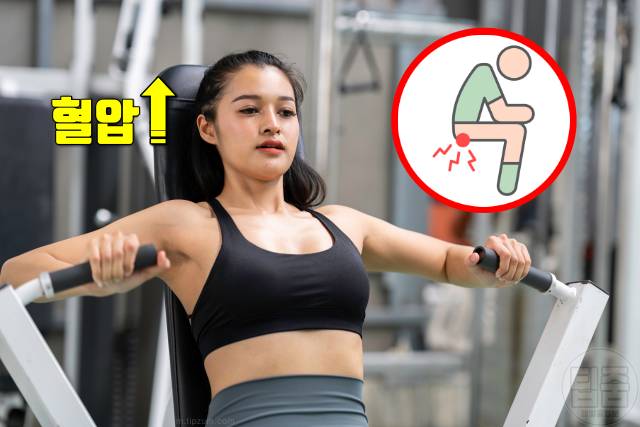 치질 좋은 운동 치질 안좋은 운동 헬스