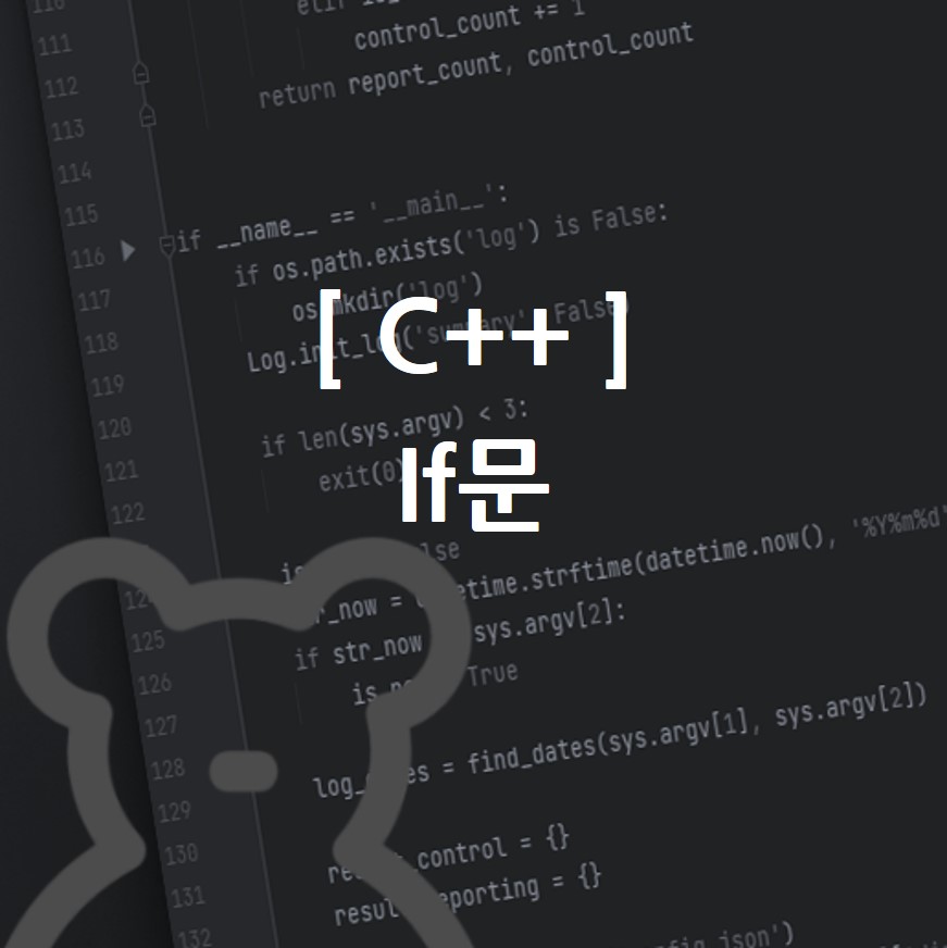C++ if문