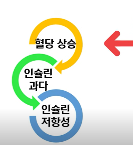 인슐린저항성
