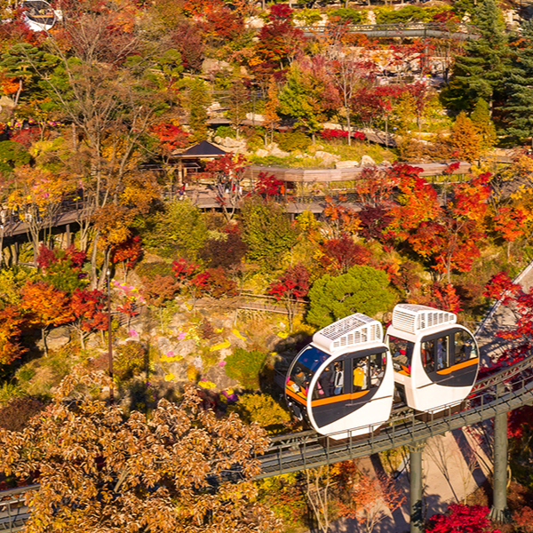 화담숲 예약 & 방문 가이드 | 봄 벚꽃부터 가을 단풍까지 완벽 정리