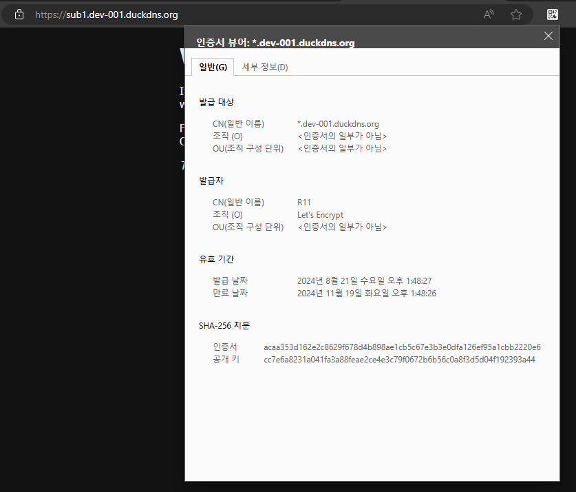 nginx 에 인증서 적용 후 https로 정상 통신 되는 화면