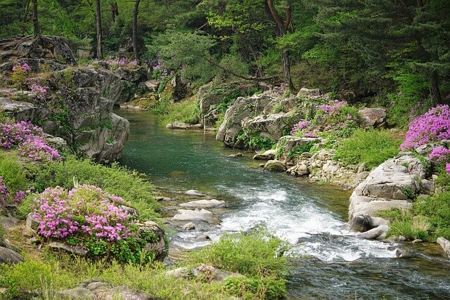 임업직불금 신청방법