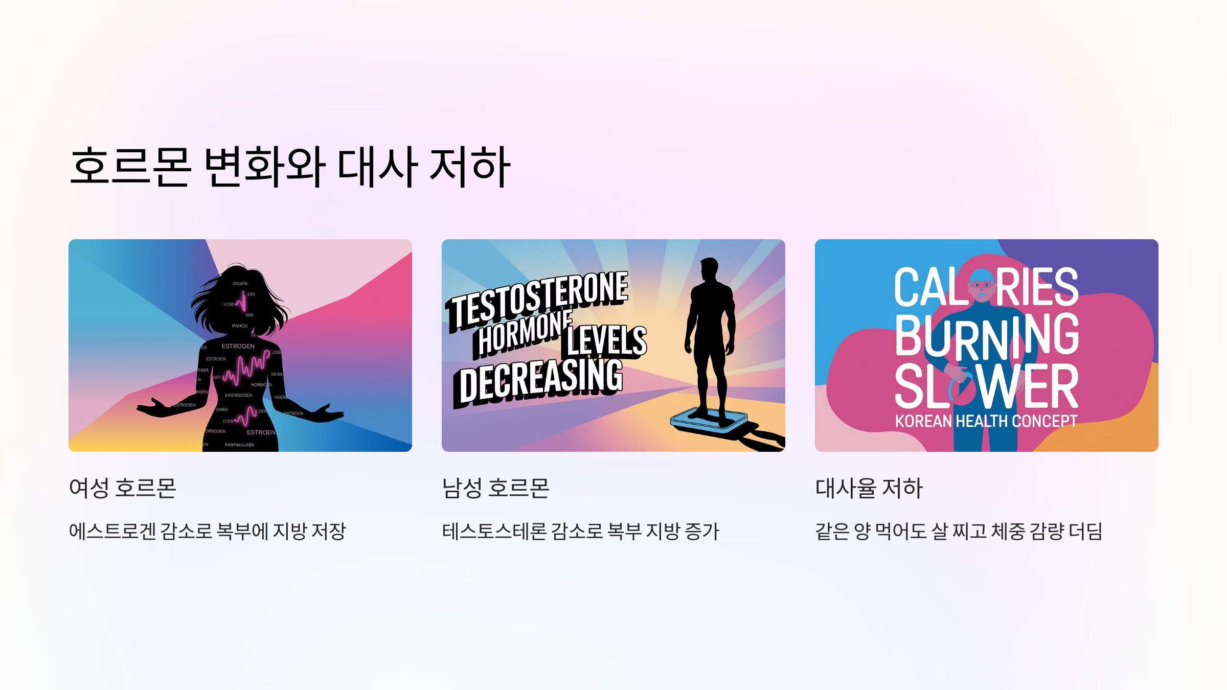 🧪 호르몬 변화와 대사 저하