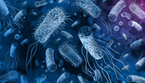 볶음밥 증후군 원인 증상 예방법