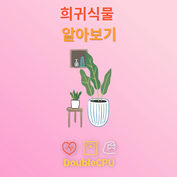 희귀식물 탐구