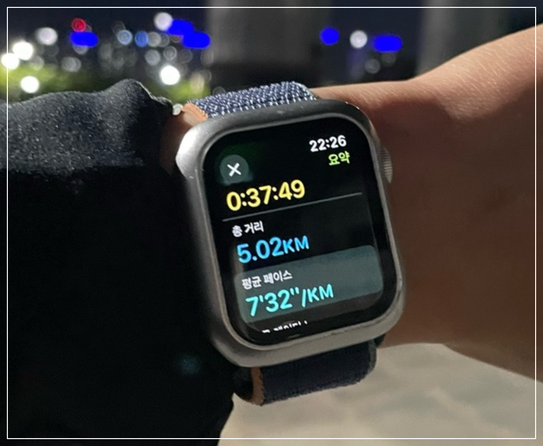 2026-마라톤-일정-11