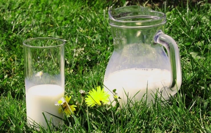 우유가-담긴-컵과-유리병