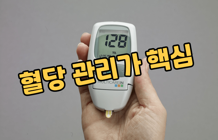 혈당 관리