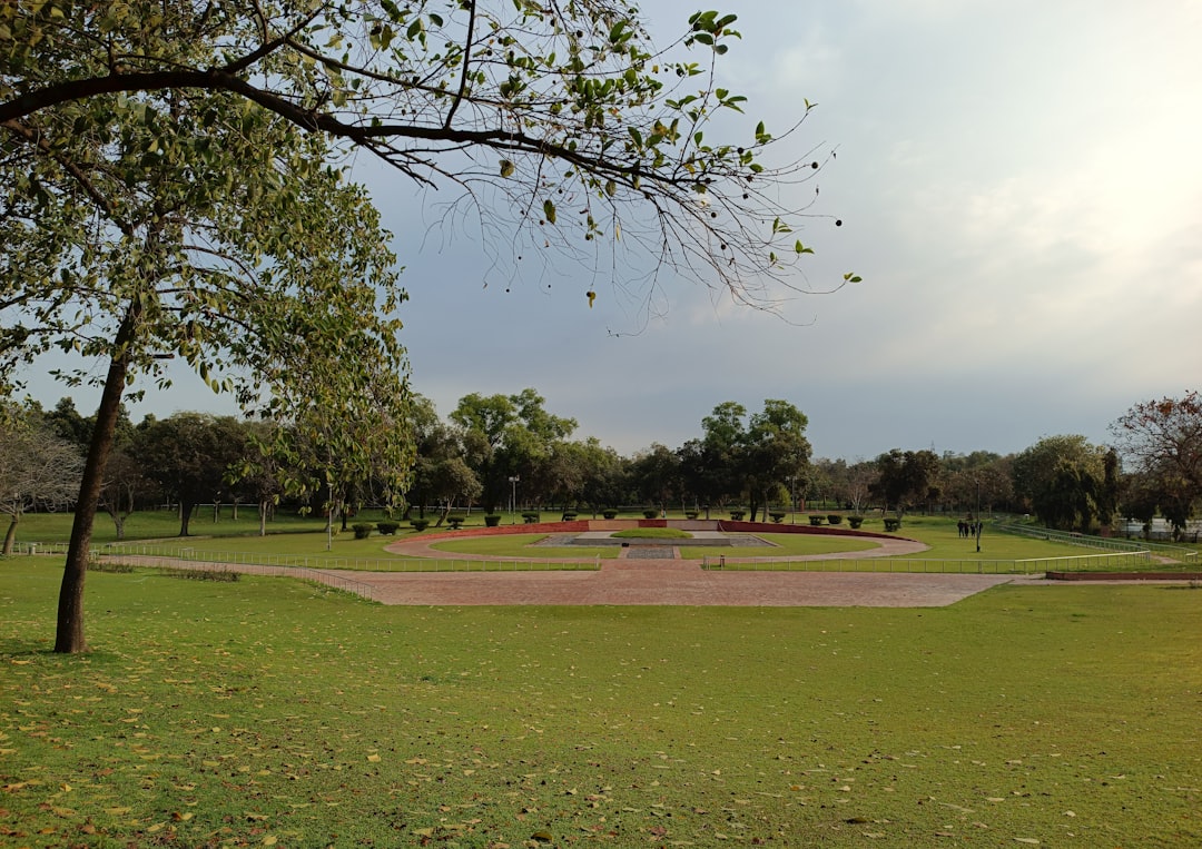 Park Golf